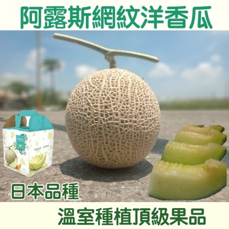 日本品種阿露斯洋香瓜 單顆裝