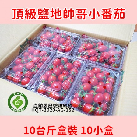 鹽地帥哥小番茄 10/20台斤盒裝＊採收結束 12月見＊