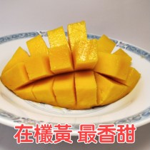 預購 枋山在欉黃愛文芒果10斤裝(12/15/18/20顆裝)  6/1開始採收