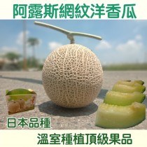 日本品種阿露斯洋香瓜禮盒 兩顆裝