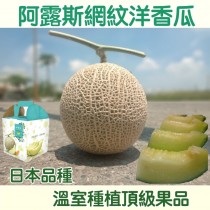 日本品種阿露斯洋香瓜 單顆裝