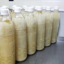 冷凍檸檬原汁800cc(請不要選擇綠界超商取貨，這是常溫，不是冷凍配送)