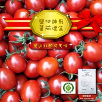 鹽地小番茄 6台斤盒裝＊＊採收結束 12月見＊＊