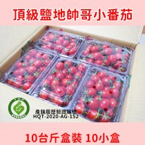 鹽地帥哥小番茄 10/20台斤盒裝＊採收結束 12月見＊
