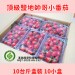 鹽地帥哥小番茄 10/20台斤盒裝＊採收結束 12月見＊